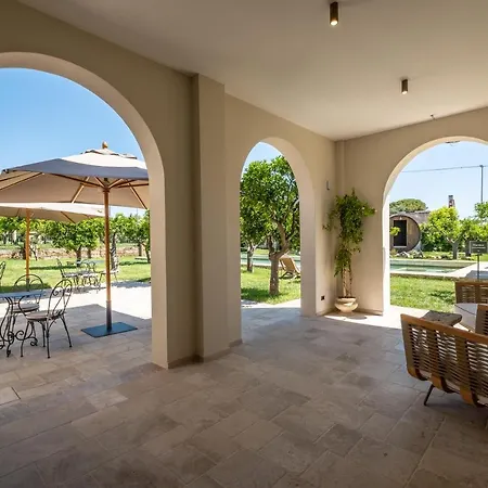 Nohasi Palace & 5* Noha