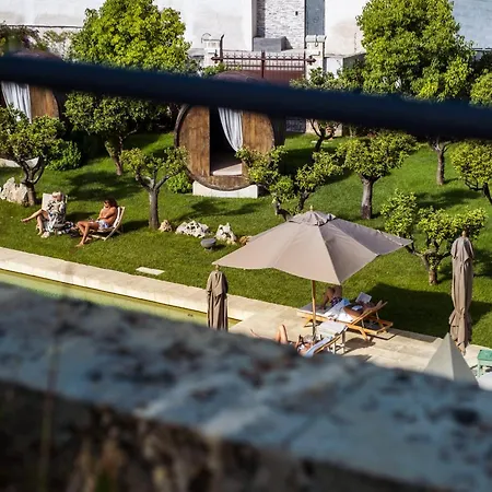 فندق Nohasi Palace &