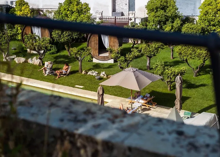 Hotel Nohasi Palace Lifestyle Hotel&spa